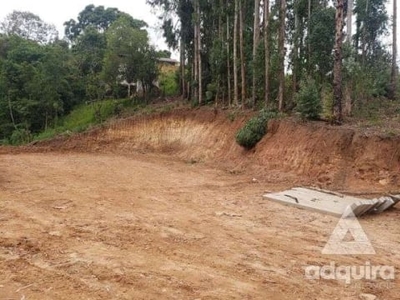 Terreno em rua - bairro nova rússia em ponta grossa