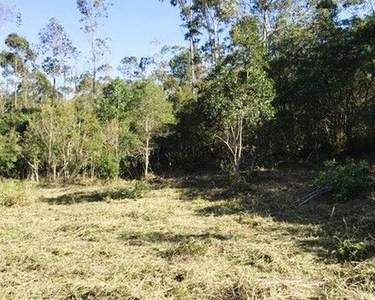 Lote/Terreno para venda tem 500 metros quadrados em Verava - Ibiúna - SP