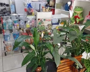 Passo ponto Loja de plantas e presentes