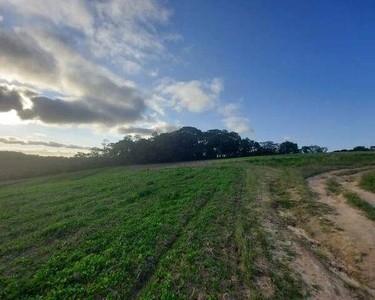 Terreno para venda possui 1000m² quadrados em Cachoeira - Cotia - SP