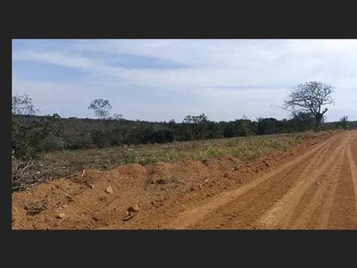 Áreas com lagoa, áreas com riacho. Ótima topografia, terra com potencial produtivo. Baldim