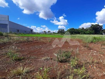 Chácara para locação,6000.00 m , Zona Rural, TOLEDO - PR