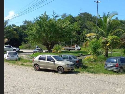 Lindo apartamento na ilha (barroca