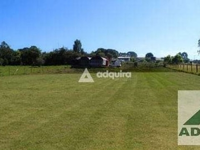 Terreno à venda e locação 2948m², uvaranas, ponta grossa - pr