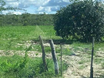 Terreno com 5 tarefas em Canidé do São Francisco-SE, aceito troca!