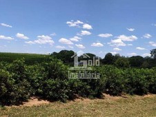 Fazenda à venda no bairro Zona Rural em Andradina