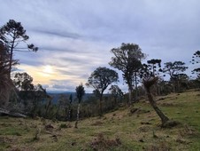 Fazenda à venda no bairro Zona Rural em Urubici