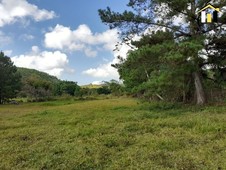 Sítio à venda no bairro Zona Rural em São João do Itaperiú