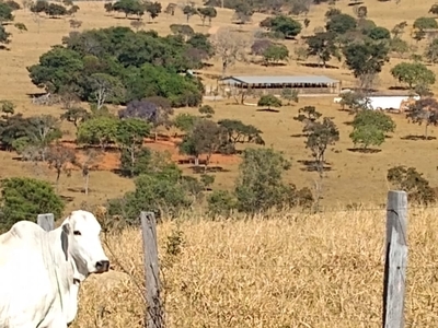 Fazenda em Dois Irmãos, Vila Propício/GO de 305m² 4 quartos à venda por R$ 21.999.000,00