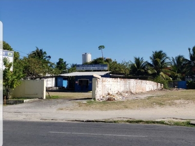 Terreno em Piedade, Jaboatão dos Guararapes/PE de 1368m² para locação R$ 30.000,00/mes
