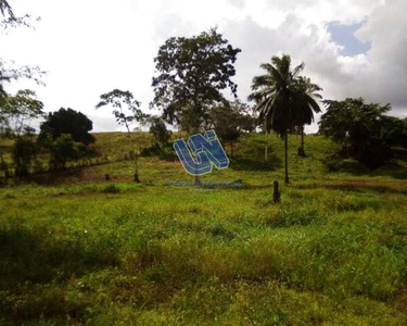 Fazenda com 24,7 tarefas em São Sebastião do Passé - Bahia