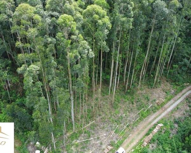 Área de terra com 30.000 m², no Bairro Fazenda Pirajá em Nova Petrópolis RS