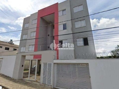 Apartamento à venda, 2 quartos, 1 vaga, brasil - uberlândia/mg
