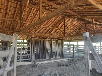 Fazenda - Janaúba, MG no bairro Zona Rural