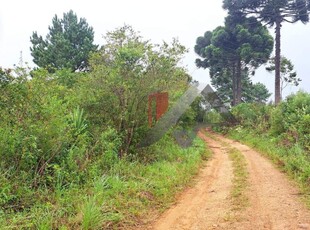 Fazenda em Espigão Das Antas, Mandirituba/PR de 16000m² à venda por R$ 159.000,00