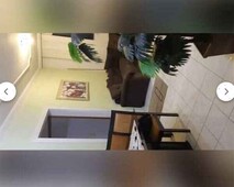 Belo Horizonte - Apartamento Padrão - Jaqueline