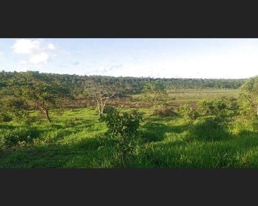 Terreno 6 hectares Norte de Minas
