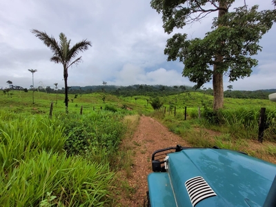 Fazenda em , São Félix do Xingu/PA de 12100000m² 2 quartos à venda por R$ 18.749.000,00
