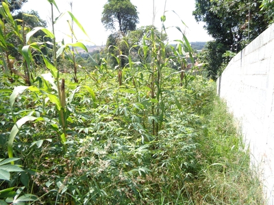 Terreno em Centro, Jundiaí/SP de 10m² à venda por R$ 398.000,00