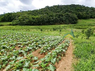 Sítio com 230.000m2, Riacho, Nascentes, Lavoura e Mata - Ponte Nova, Teresópolis