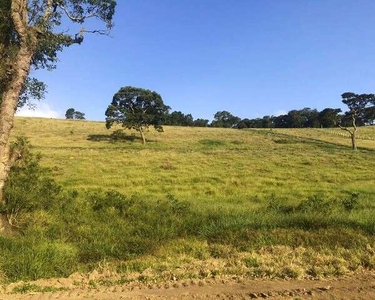 Lote/Terreno para venda tem 500 metros quadrados