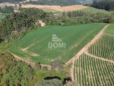 Sítio à venda no bairro Zona Rural em Agronômica