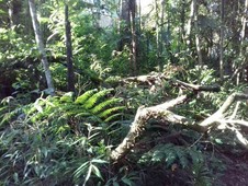 Terreno à venda no bairro Águas Claras em Brusque