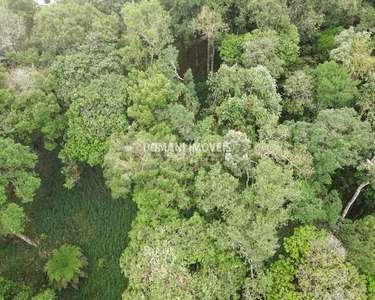 TERRENO RESIDENCIAL em CAMPOS DO JORDÃO - SP, Região de Descansópolis