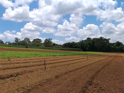 Área em Água Espraiada (Caucaia do Alto), Cotia/SP de 0m² à venda por R$ 49.998.000,00