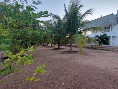 Chácara em Chácaras Quintas Da Cauaçu, Santa Teresinha/PB de 200m² 4 quartos à venda por R$ 249.000,00