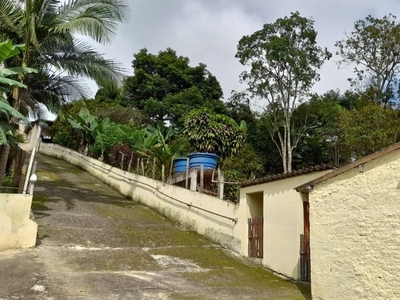 Chácara em Jardim Três Américas, Suzano/SP de 0m² 6 quartos à venda por R$ 531.000,00