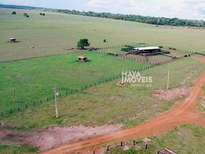 Fazenda em Chupinguaia, Chupinguaia/RO de 10m² 1 quartos à venda por R$ 48.749.000,00
