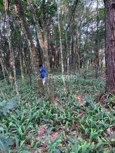 Fazenda em Quilombo, Gramado/RS de 196000m² à venda por R$ 15.499.000,00