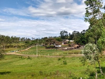 Fazenda em Sao Pedro, São Pedro/SP de 0m² à venda por R$ 6.199.000,00