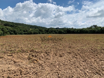 Fazenda em Sítio Rural, São Sebastião Do Paraíso/MG de 100m² 3 quartos à venda por R$ 989.000,00