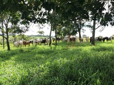 Fazenda em Vila Canaã, Rondonópolis/MT de 4250m² 5 quartos à venda por R$ 139.999.000,00