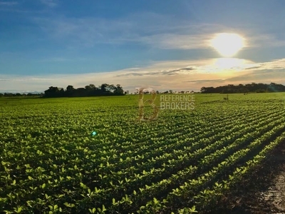 Fazenda em Xingu Mt, Peixoto De Azevedo/MT de 10000m² 1 quartos à venda por R$ 499.999.000,00