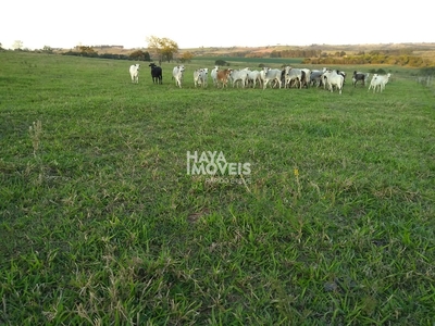 Fazenda em Zona Rural, Barão De Melgaço/MT de 125000000m² à venda por R$ 74.999.000,00
