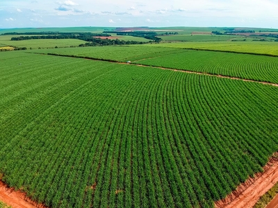 Terreno em Adelino Simioni, Ribeirão Preto/SP de 10m² à venda por R$ 299.998.000,00