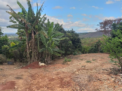 Terreno em Campinho, Lagoa Santa/MG de 0m² à venda por R$ 698.000,00