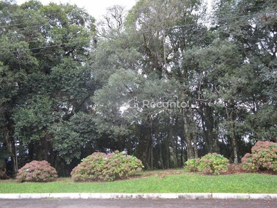 Terreno em Centro, Gramado/RS de 1593m² à venda por R$ 1.165.000,00