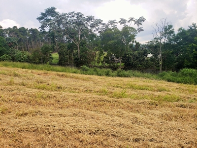 Terreno em Chácara Ondas Verdes, Cotia/SP de 0m² à venda por R$ 878.000,00