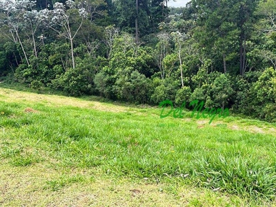 Terreno em Granja Viana, Cotia/SP de 0m² à venda por R$ 589.000,00