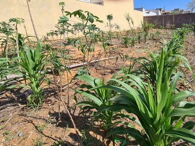 Terreno em Jardim Esplanada, Indaiatuba/SP de 0m² à venda por R$ 394.000,00