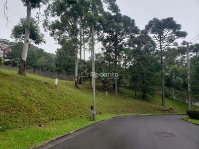 Terreno em Mato Queimado, Gramado/RS de 2359m² à venda por R$ 2.898.000,00