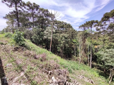 Terreno em Pedras, Cotia/SP de 0m² à venda por R$ 598.000,00