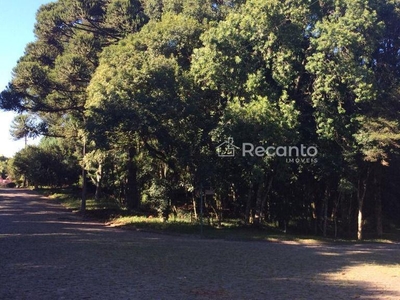 Terreno em Vila Suiça, Canela/RS de 1622m² à venda por R$ 1.369.000,00