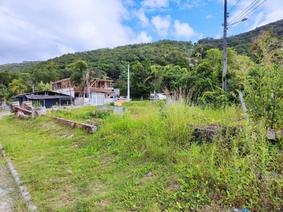 Terreno em Zimbros, Bombinhas/SC de 10m² à venda por R$ 579.000,00