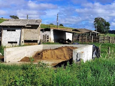 Sitio 31 Alqueires Formado em Pasto para Gado de Leite 2 casas empregado 1 casa escritóri