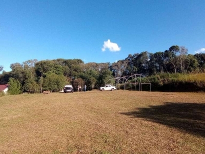 Terreno à venda, 4493 m² por r$ 895.000,00 - fazendinha - campo largo/pr